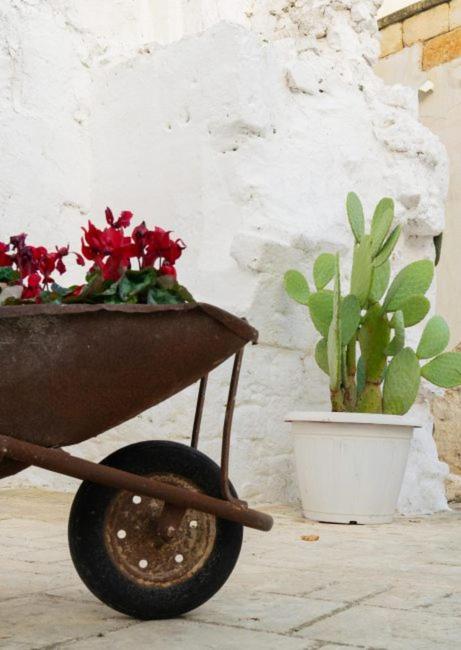 Casa Dolce Vita กาโรวิญโญ ภายนอก รูปภาพ